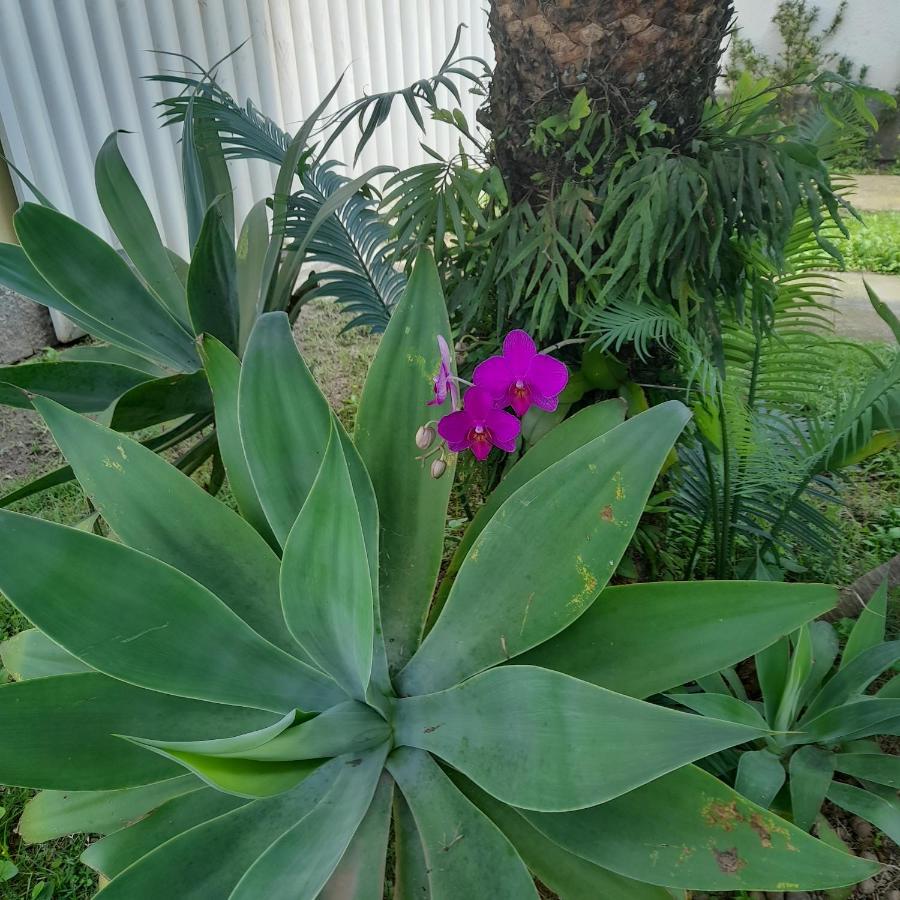 Recanto Verde Río de Janeiro